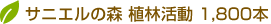 サニエルの森　植林活動　1,800本