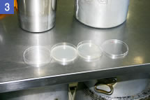 photo3