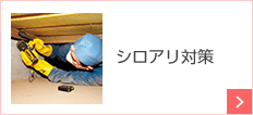 シロアリ対策