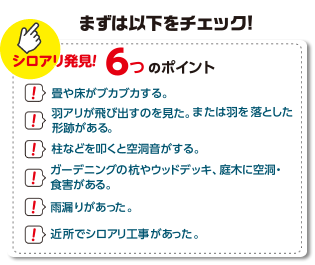 まず以下をチェック！シロアリ発見！6つのポイント