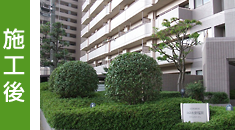 施工後