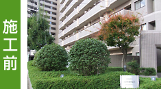 施工前