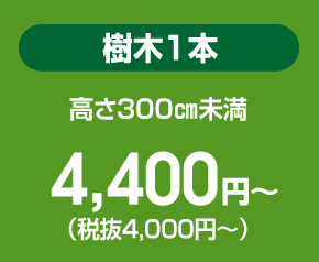 樹木１本 高さ300㎝未満 4,320円～
