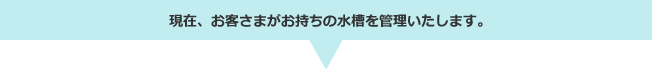 現在、お客さまがお持ちの水槽を管理いたします。